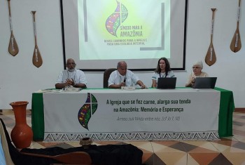 Analisar a conjuntura amazônica para descobrir as prioridades como Igreja